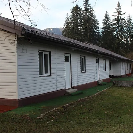 Pensiunea Martinel Lodge *